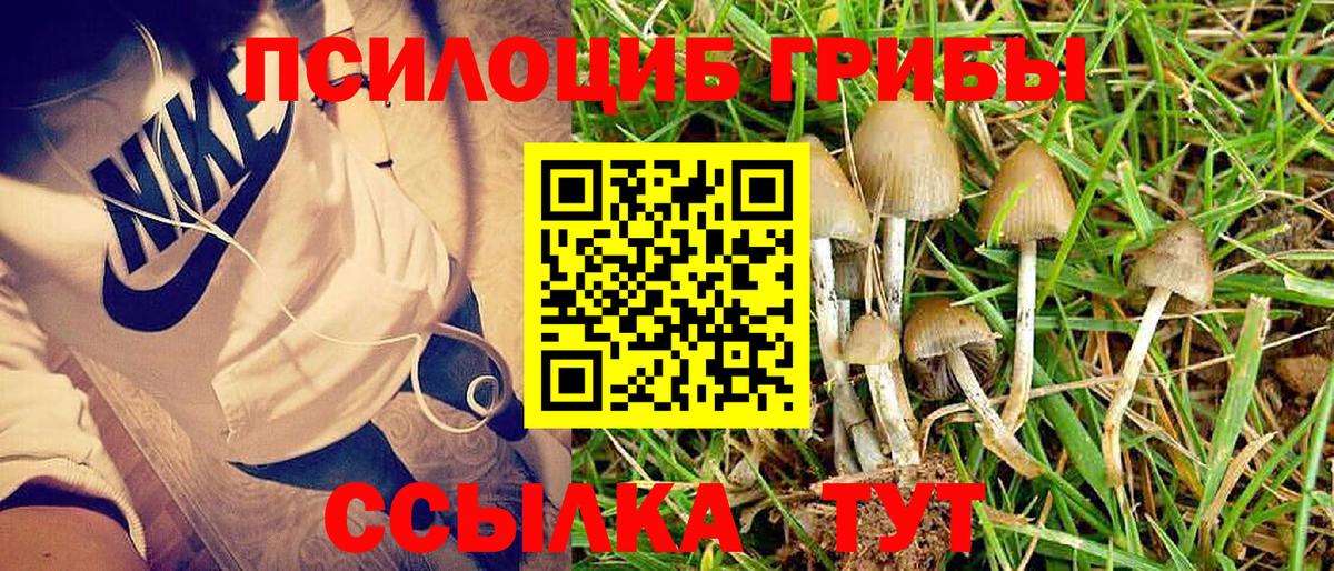Псилоцибиновые грибы GOLDEN TEACHER Юрга