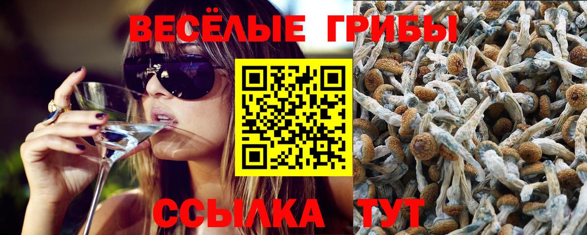 Юрга  Галлюциногенные грибы MAGIC MUSHROOMS  Вход с VPN 
